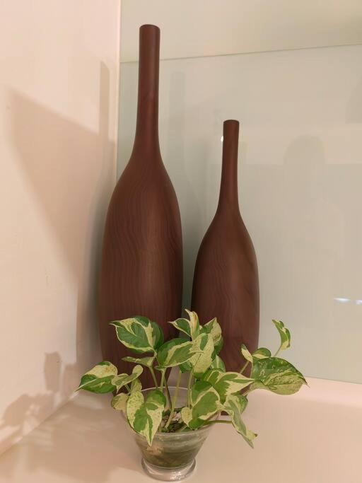 Alocasia Geniehome 3Br Free Wifi @ Utropolis שאה אלאם מראה חיצוני תמונה